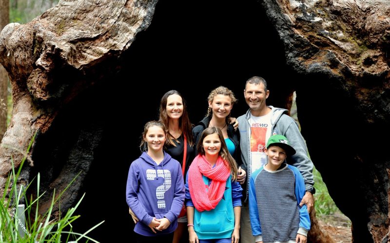 Família: O Plano Divino Para Construir Lares Fortes