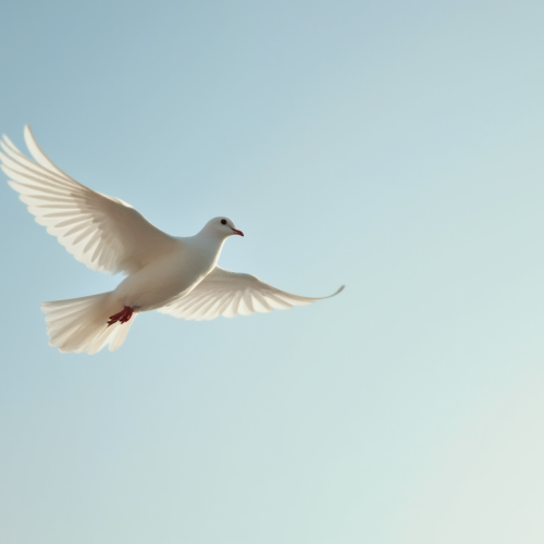 Espírito Santo: Estudo Bíblico Completo