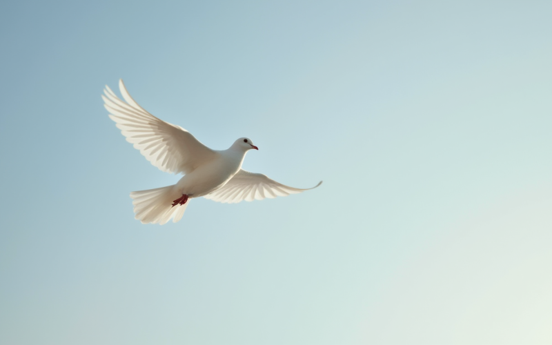 Espírito Santo: Estudo Bíblico Completo